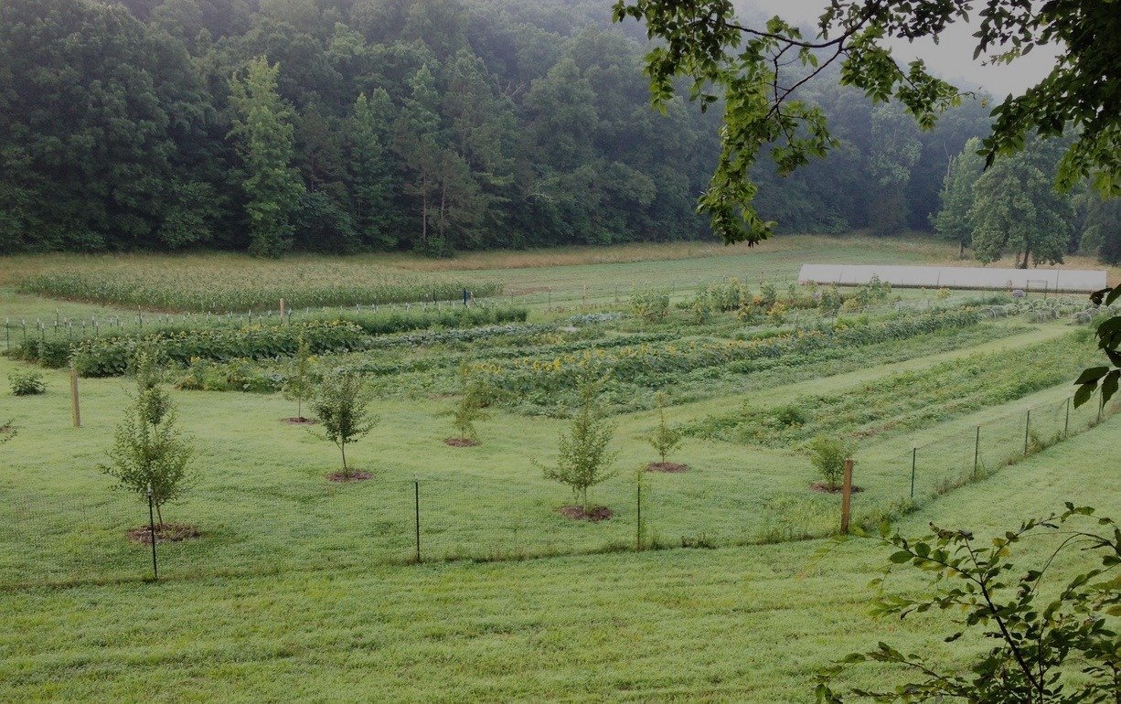 Gardens - Rising Fawn Gardens